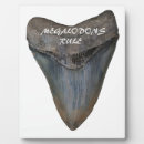 Recherche de dents plaques Pour tous