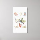 Search for human heart art Medical