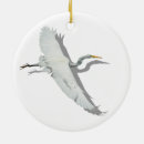 Search for egret ornaments Nature
