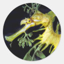 Search for deep ocean stickers Seashore