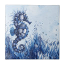 Search for seahorse tiles Beach