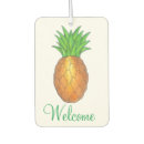 Search for pineapple car air fresheners Fruit