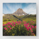 Search for montana art Meadow