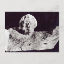 Recherche de mozart cartes postales Compositeur