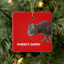 Search for santa cat ornaments Animals