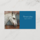 Recherche de portrait cheval cartes visite Étalon