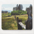 Search for split rail fence Landscape