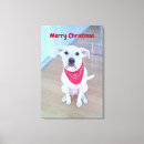 Search for funny dog canvas prints Humourous