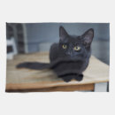 Recherche de chat noir cuisine linges Mignon