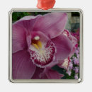 Recherche de orchidée ornements Floral