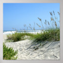 Search for sea oat posters Ocean