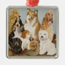 Search for scottie dog ornaments Pet
