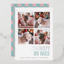 Search for snow seasonal invitations Silver