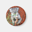 Recherche de marsupiaux magnets Marsupial