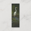 Recherche de petit oiseau cartes visite Faune