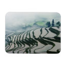 Recherche de riz magnets Agriculture