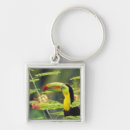 Search for central keychains Colourful