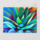 Recherche de agaves cartes postales Plante