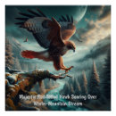 Search for birds of prey posters Hawk