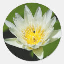 Recherche de ab autocollants Nature