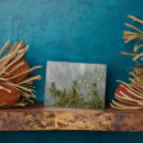 Recherche de chauve plaques Oiseau