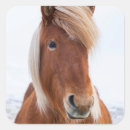 Search for winter coat stickers Animal