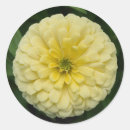 Search for zinnia stickers Garden