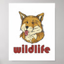 Search for fox posters Wild life