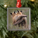 Search for red fox ornaments Canine
