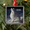 Search for hare ornaments Snow