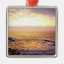 Search for portland ornaments Usa
