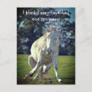 Recherche de poney drôle cartes postales Équitation