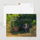 Search for yala Yala national park