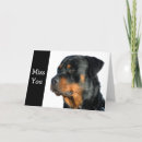Search for rottweilers cards Puppies