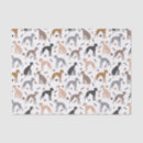 Search for italian tissue paper Pets