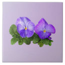 Search for pansy tiles Flora