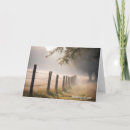 Search for mists cards Misty