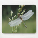 Search for large format mousepads Adam jones