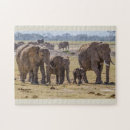 Search for elephant family puzzles Africa