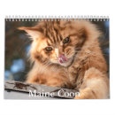 Search for maine calendars Pets
