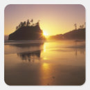Search for wa stickers Olympic national park