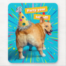 Recherche de chien corgi tapis souris Drôle