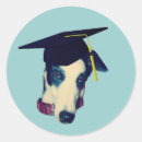 Search for funny greyhound stickers Dog