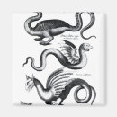 Search for winged dragon magnets School