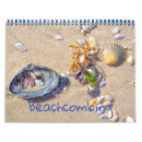 Search for beachcomb Sand