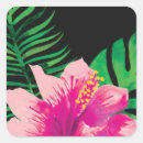 Search for palm leaf stickers Hibiscus flower