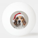 Recherche de noël balles ping pong Dog