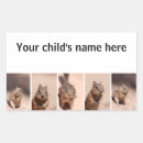 Recherche de squirrel autocollants Écureuil