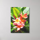 Search for frangipani art Floral