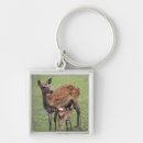 Search for prefecture keychains Togetherness
